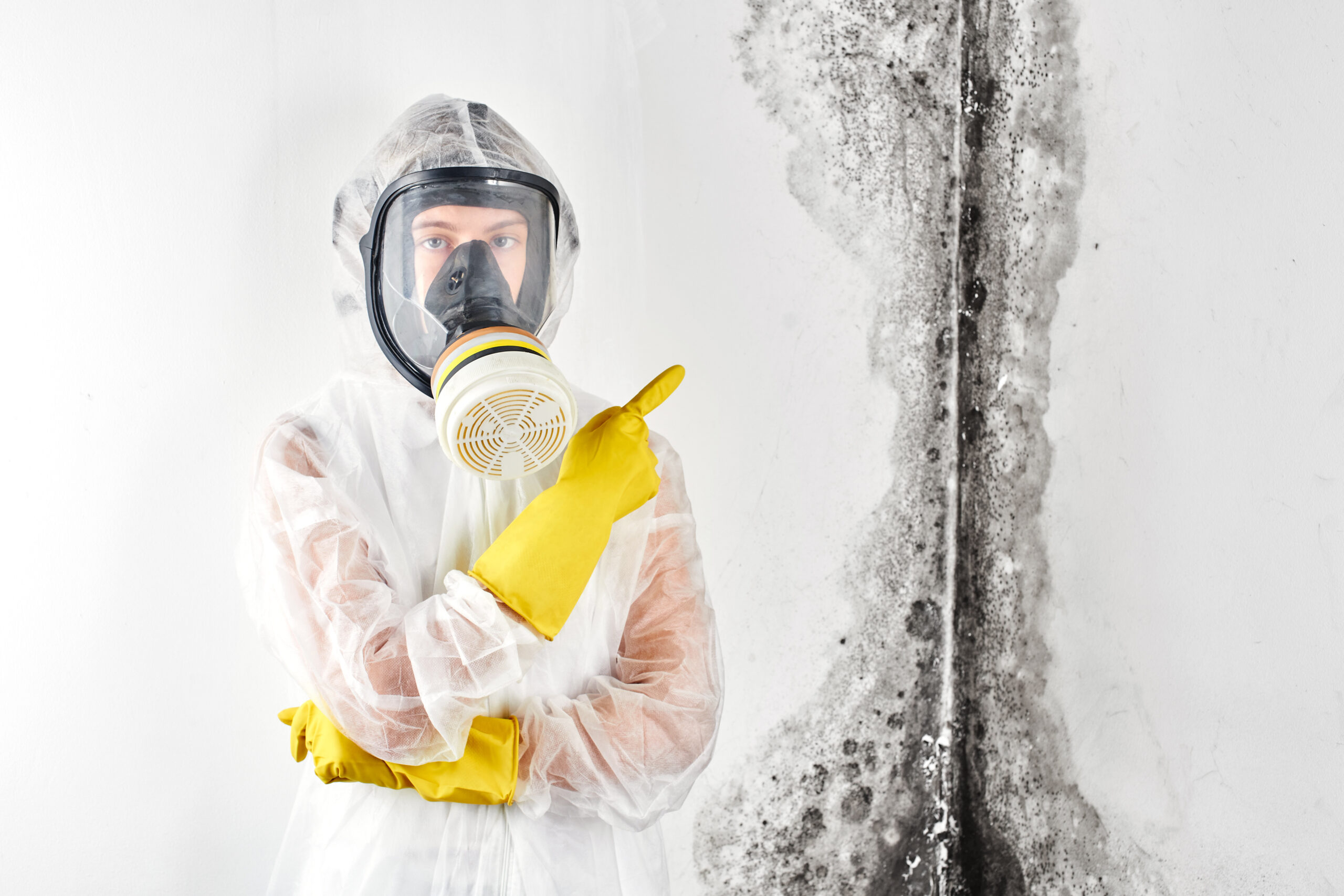 A professional disinfector in overalls and a mask points a finger at the black mold on the wall. Removal of the fungus in the apartment and house. Aspergillus.