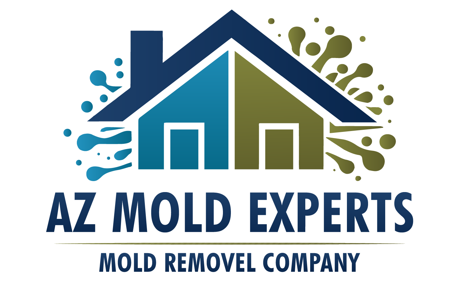 Arizona Mold Experts
